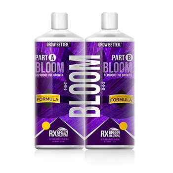 BLOOM B – NUTRIENT 4 PART