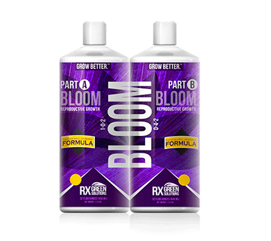 BLOOM A – NUTRIENT 4 PART