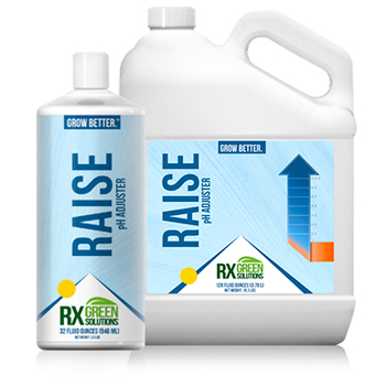 Raise