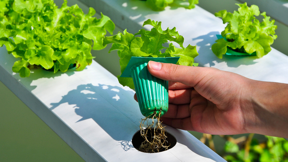 DIY 3D-Printed Mini-Farm