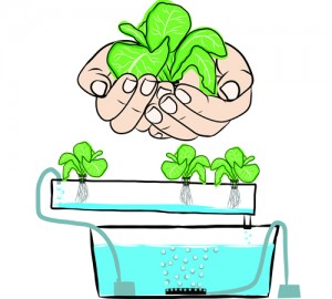Horizontal DIY hydroponics system