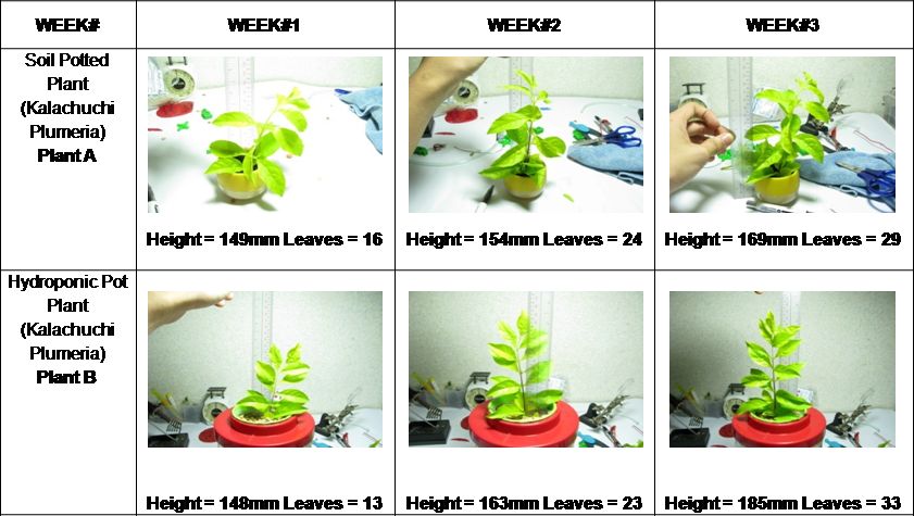 Hydroponics allows you to grow more plants and grow them more quickly.